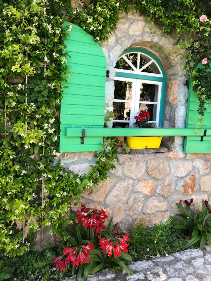 Lake House Puro Dodosi Exterior photo